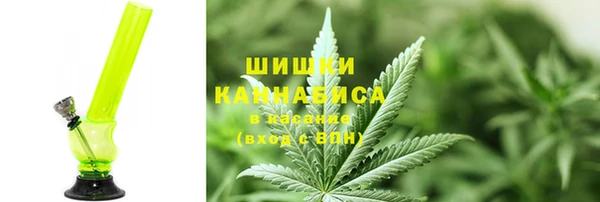 молекула духа Алзамай