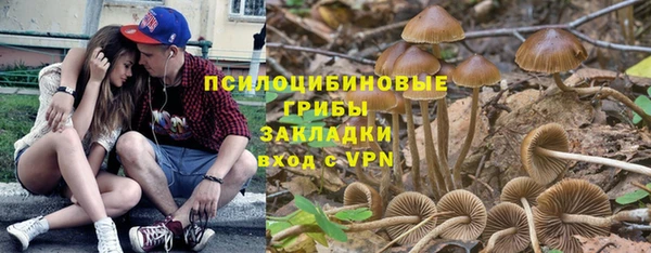 кокс Алексеевка
