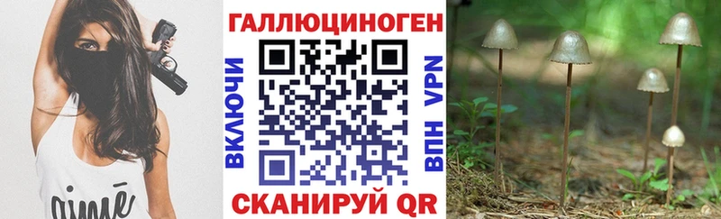 Псилоцибиновые грибы мицелий Купить закладки Волчанск